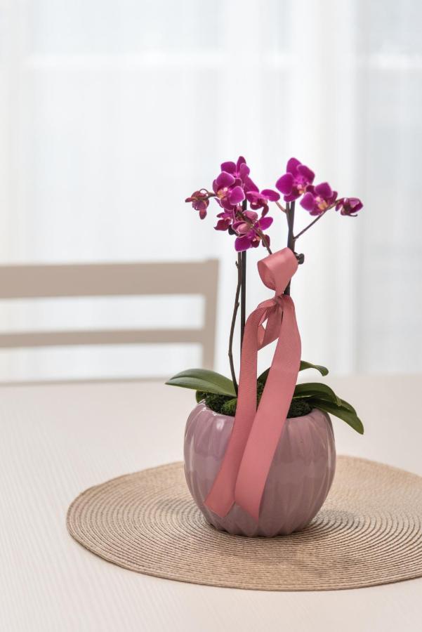 Relax Ciampino - By Good Time Apartments Exteriör bild